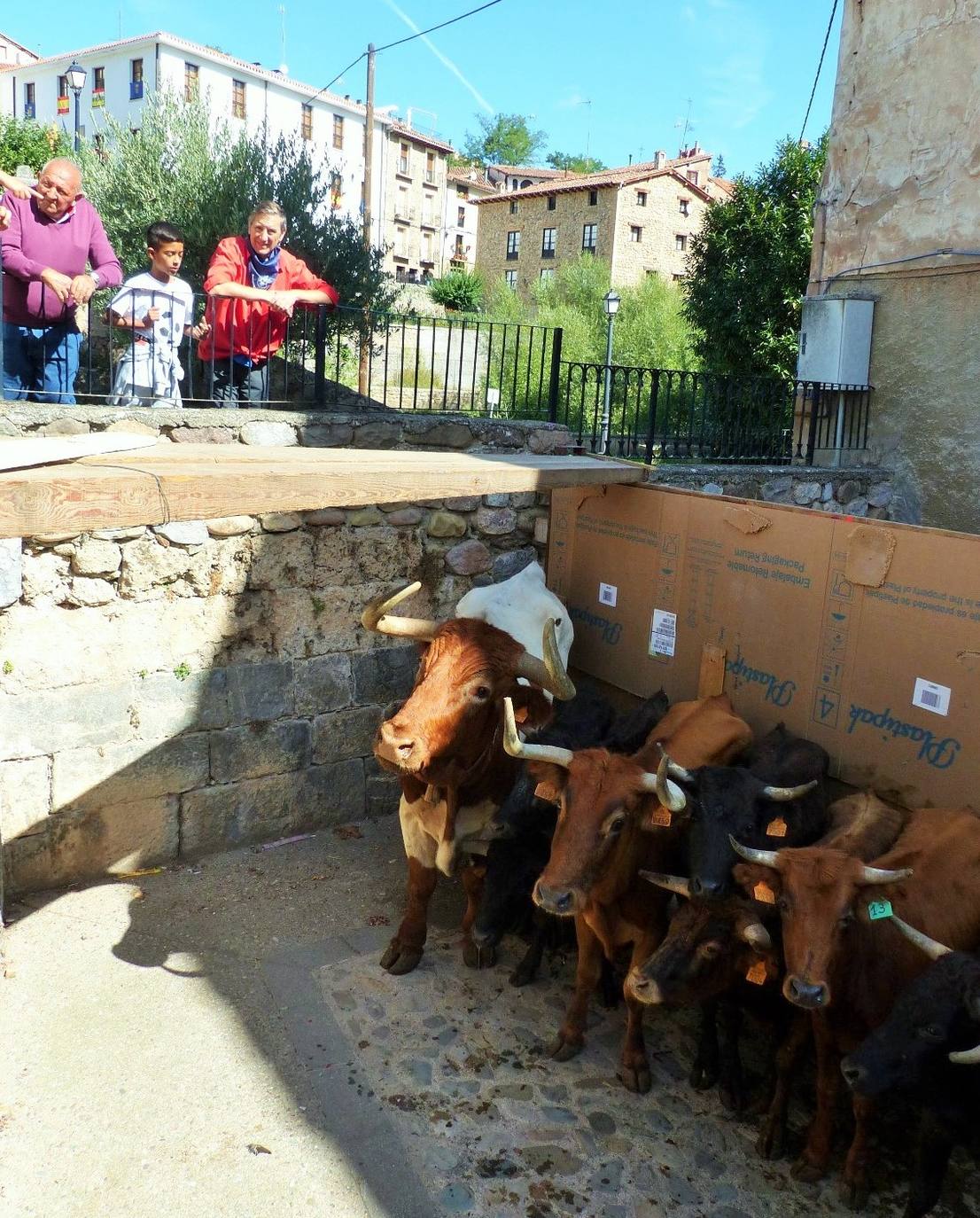 Fotos: Torrecilla honra a la Virgen de Tómalos