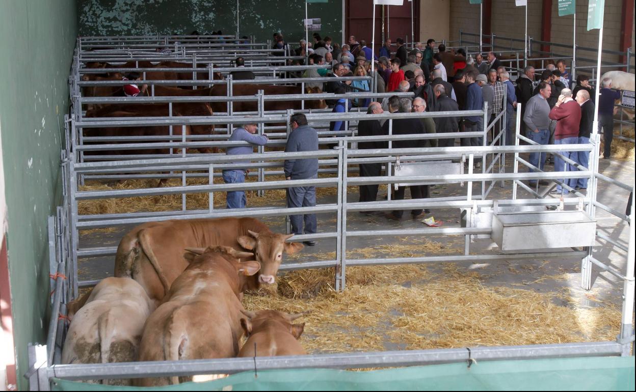 Villoslada acoge el miércoles la XXIII edición de la Feria de Ganado