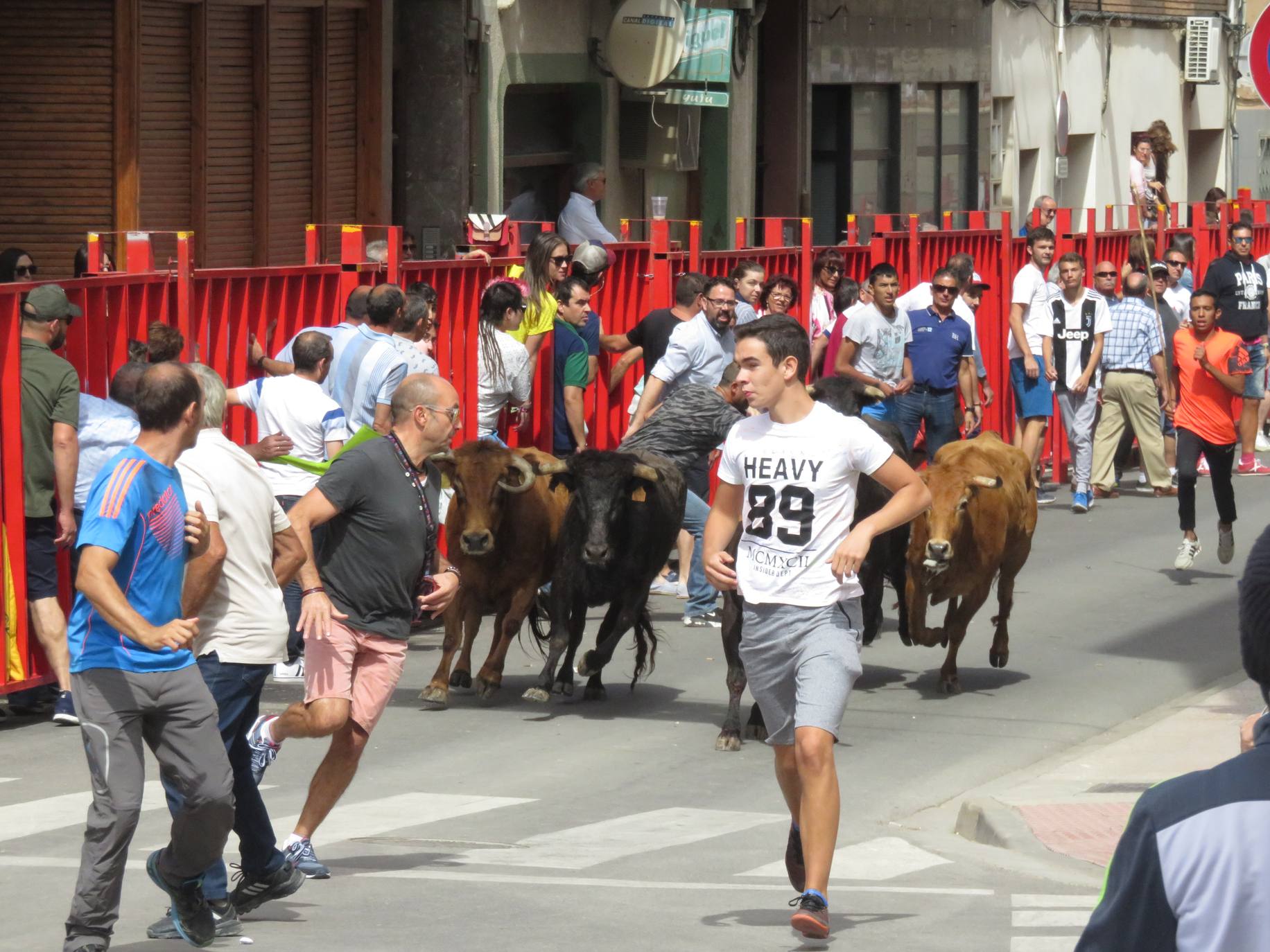 Fotos: Encierro limpio en el cuarto día de fiestas en Alfaro