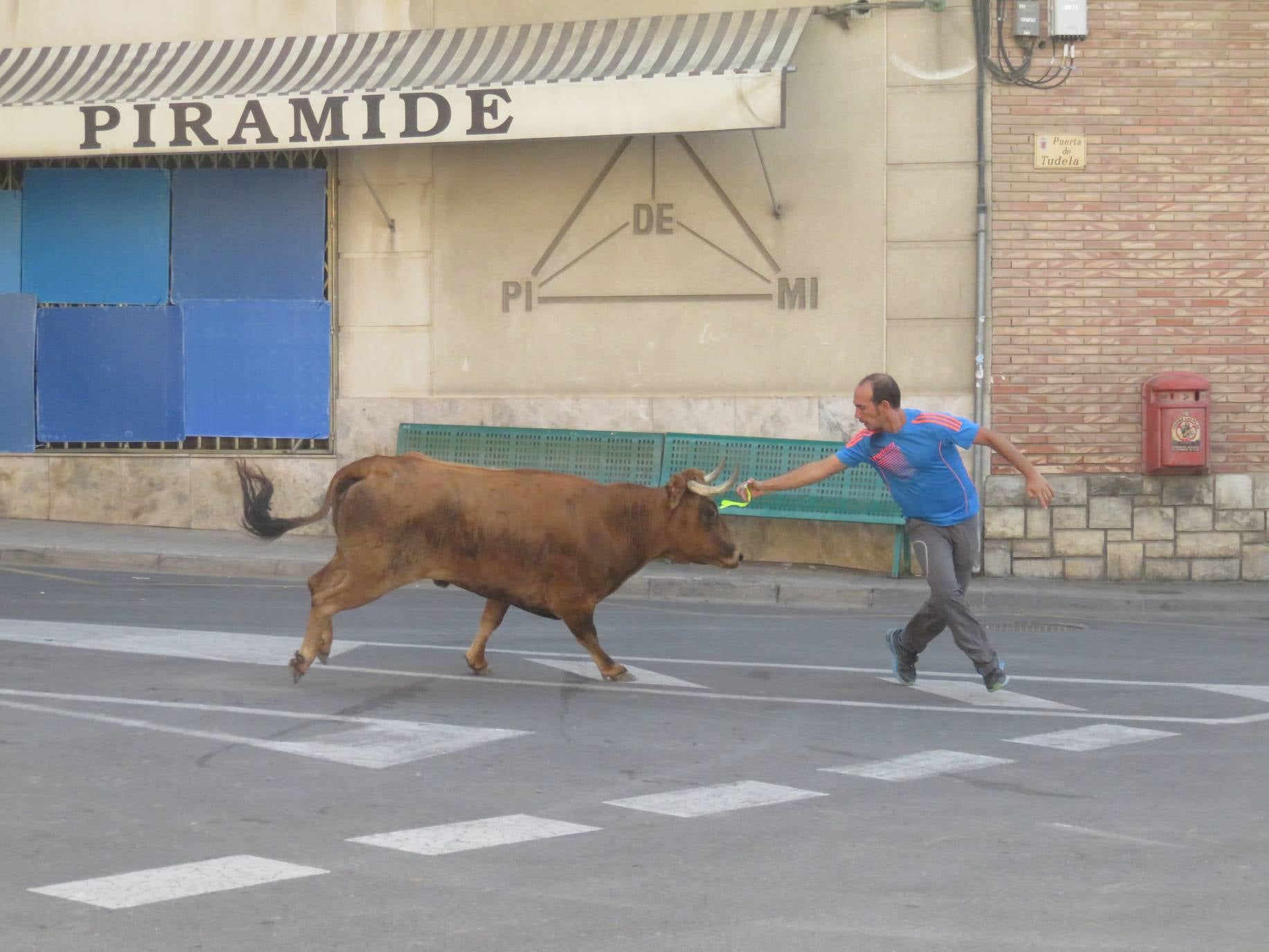 Fotos: Encierro limpio en el cuarto día de fiestas en Alfaro
