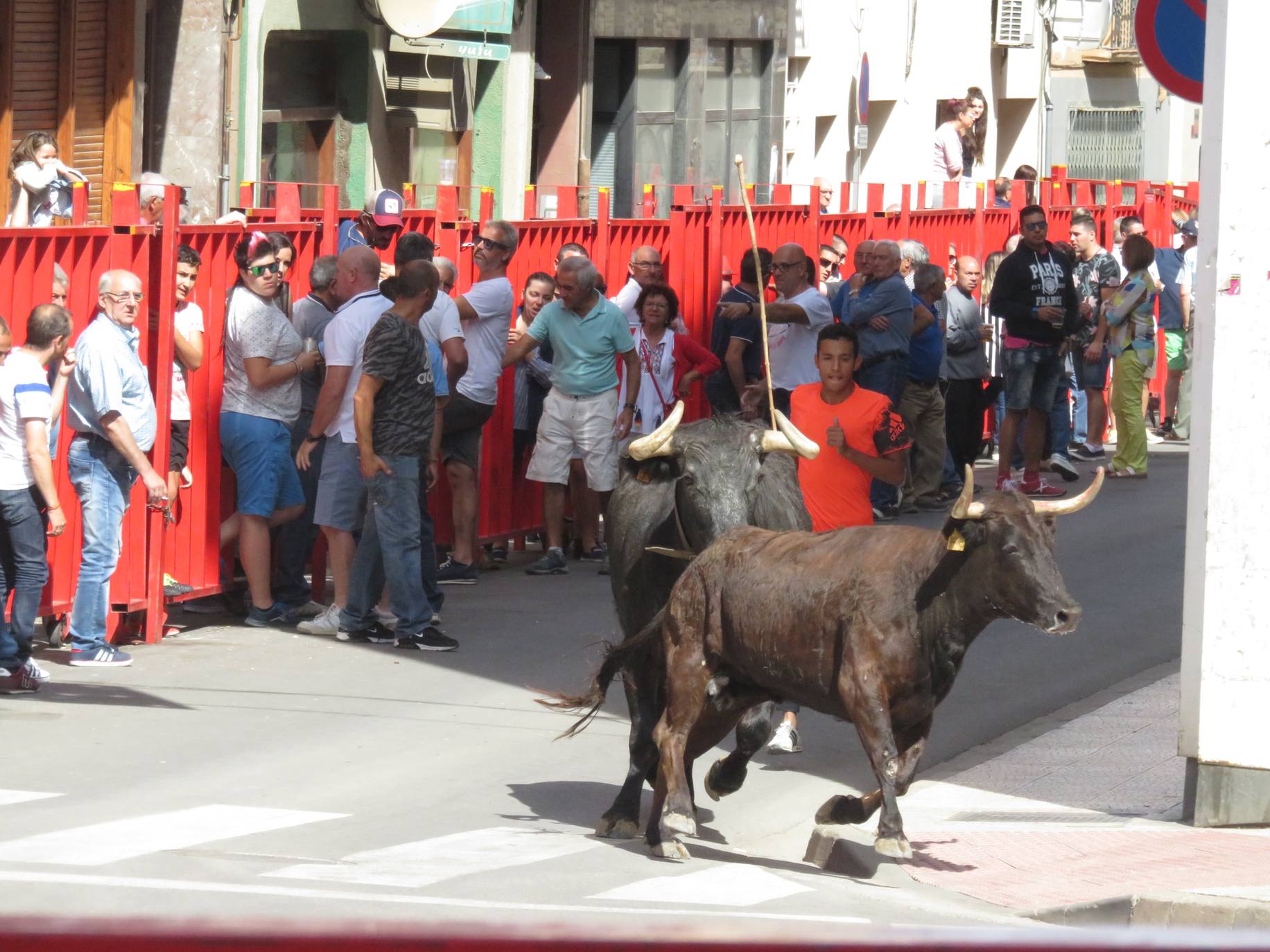 Fotos: Encierro limpio en el cuarto día de fiestas en Alfaro