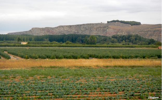 Imagen principal - Huertas en la ribera de Calahorra, chopera y cauce del Ebro 