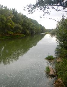 Imagen secundaria 2 - Huertas en la ribera de Calahorra, chopera y cauce del Ebro 