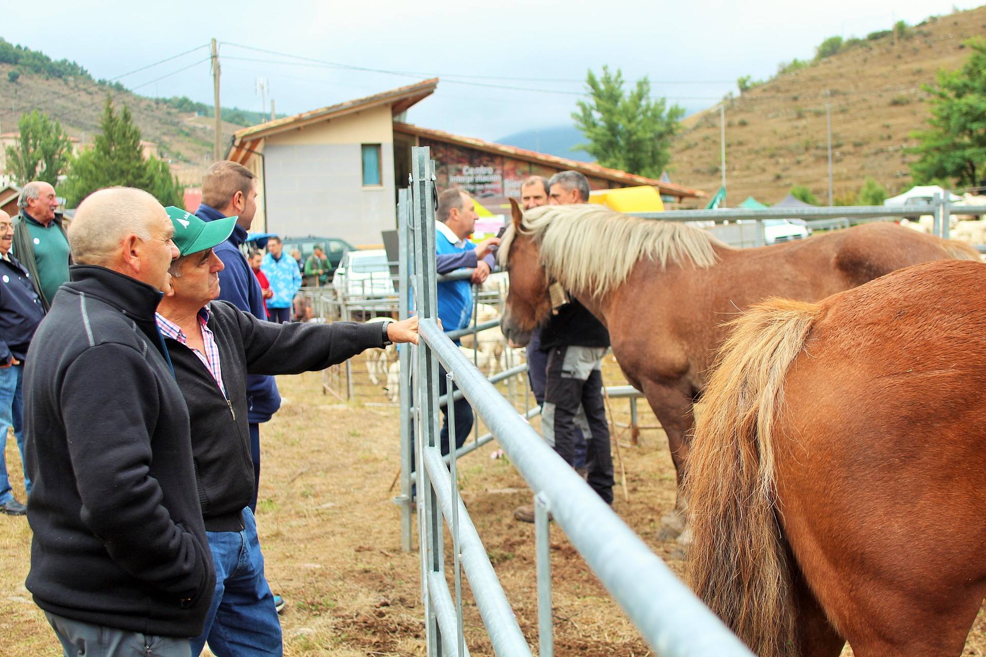 Fotos: XXIII edición de la Feria de Ganado en Villoslada