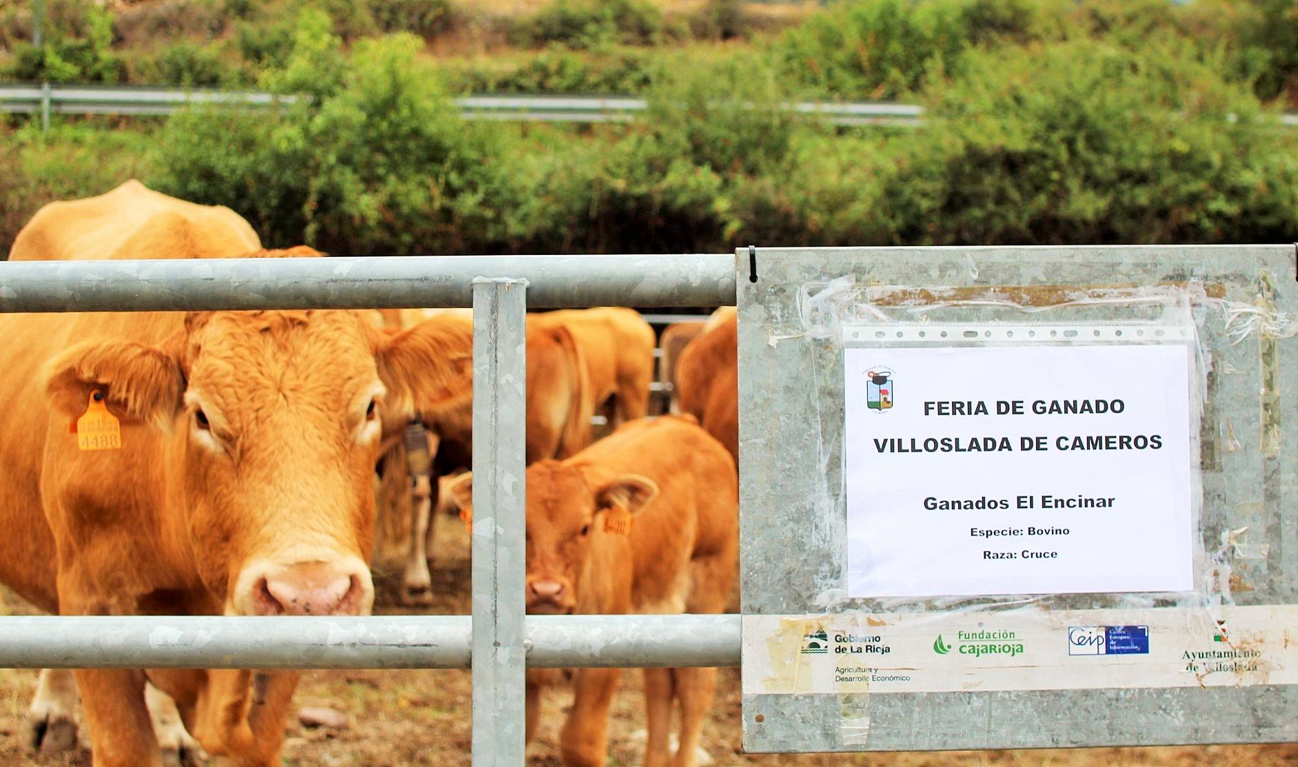 Fotos: XXIII edición de la Feria de Ganado en Villoslada