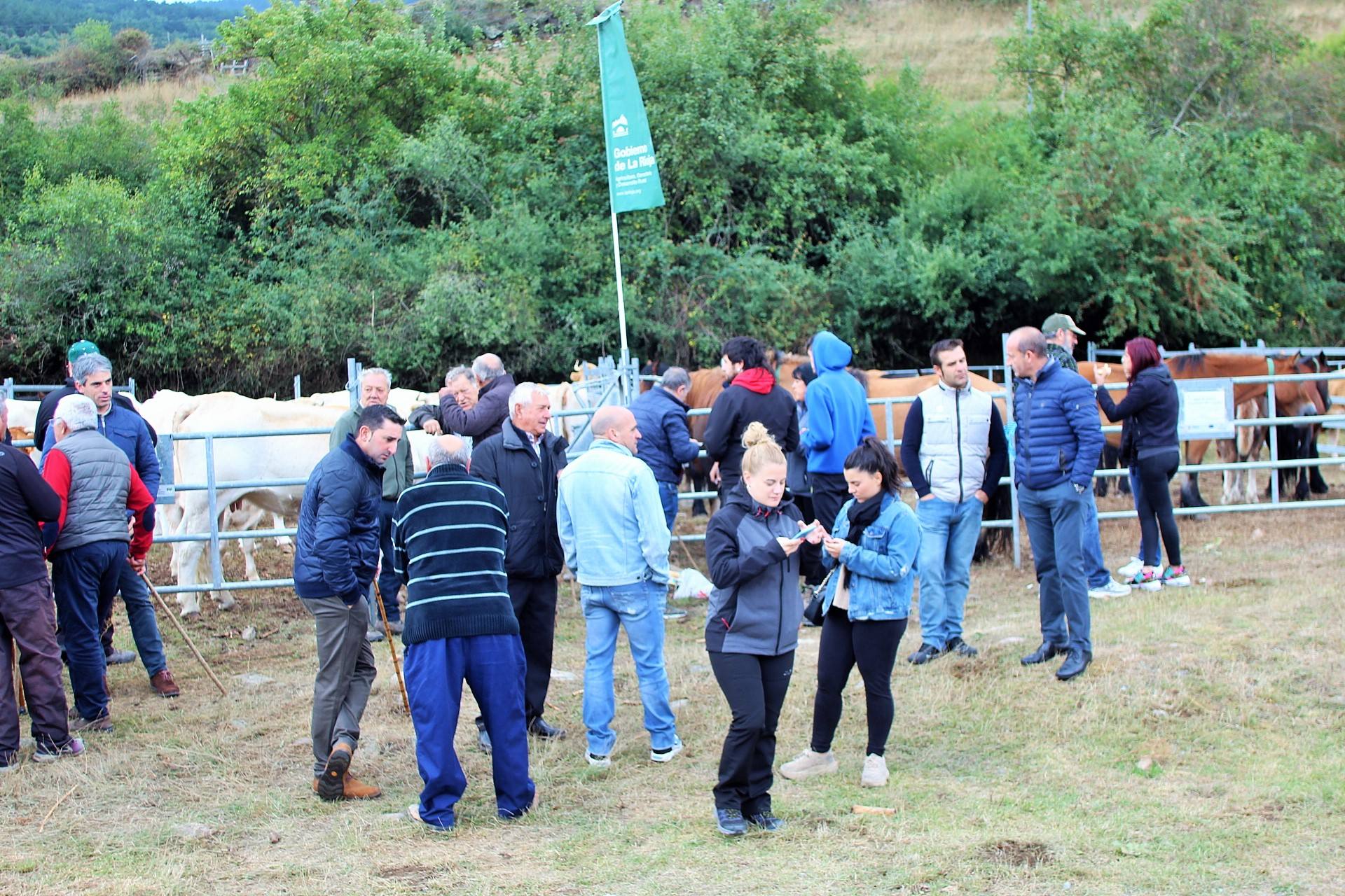 Fotos: XXIII edición de la Feria de Ganado en Villoslada