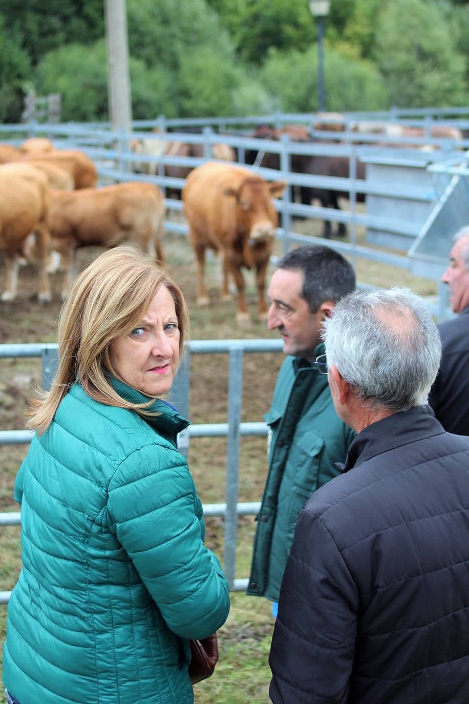 Fotos: XXIII edición de la Feria de Ganado en Villoslada