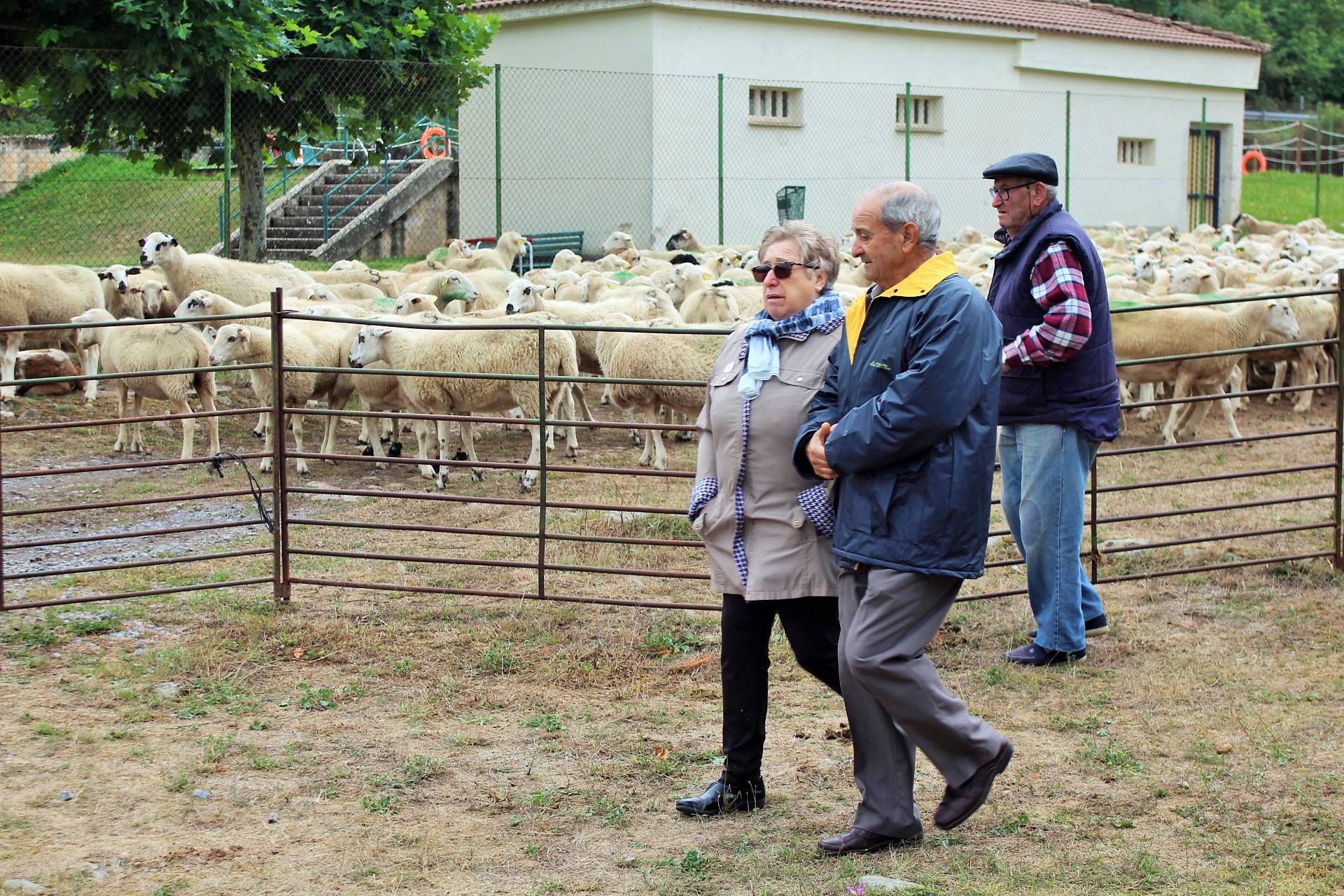 Fotos: XXIII edición de la Feria de Ganado en Villoslada