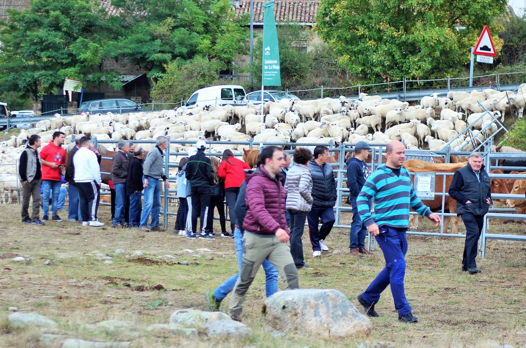 Fotos: XXIII edición de la Feria de Ganado en Villoslada