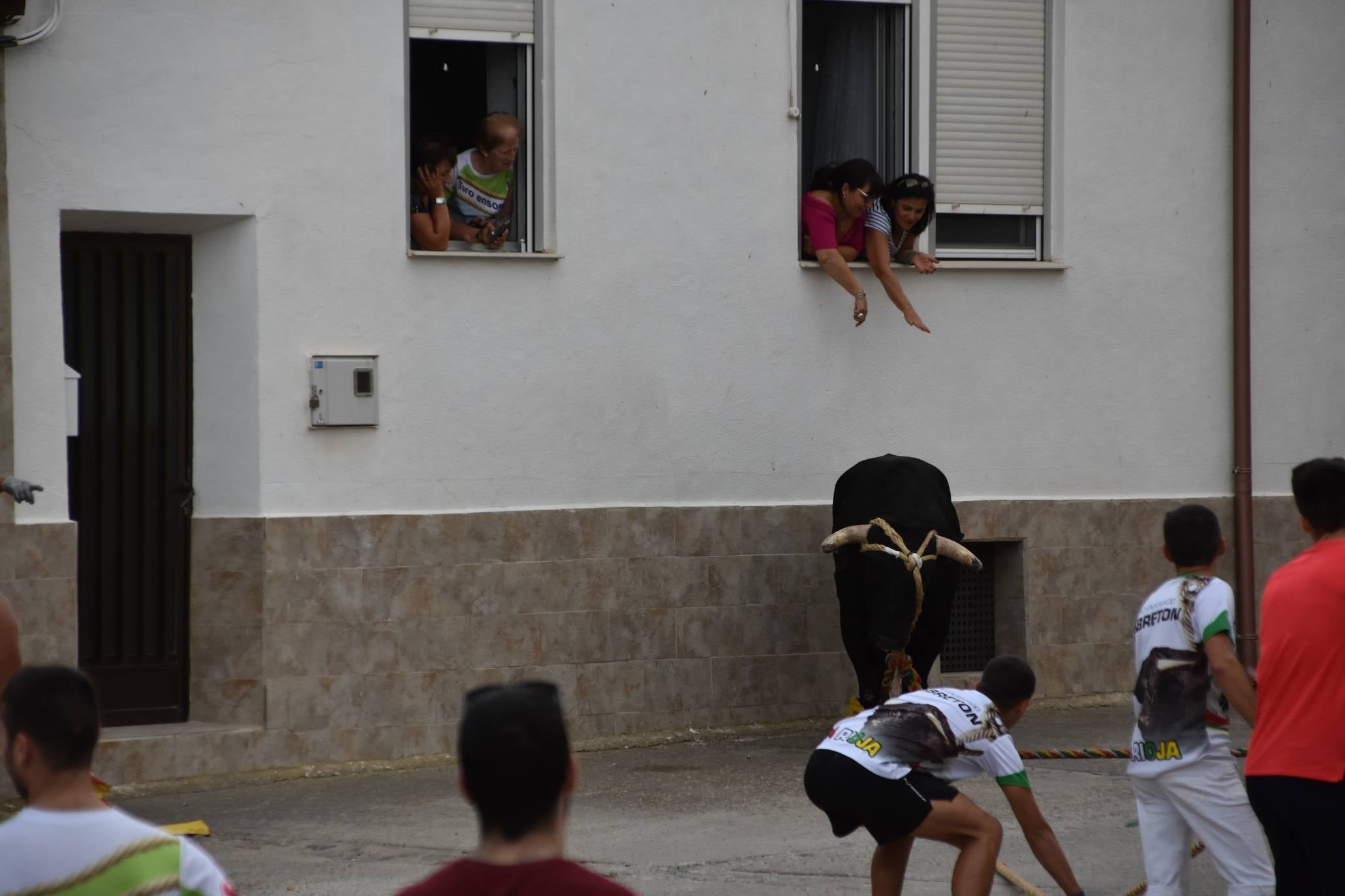 Fotos: Suelta de toros ensogados en Cabretón