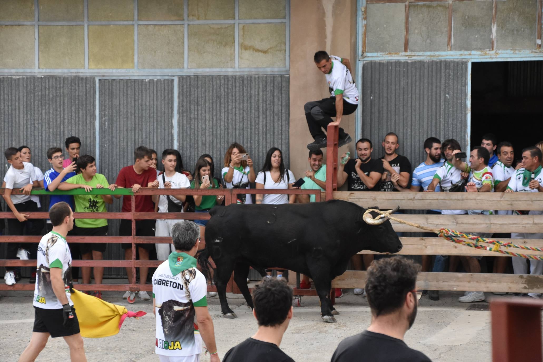 Fotos: Suelta de toros ensogados en Cabretón