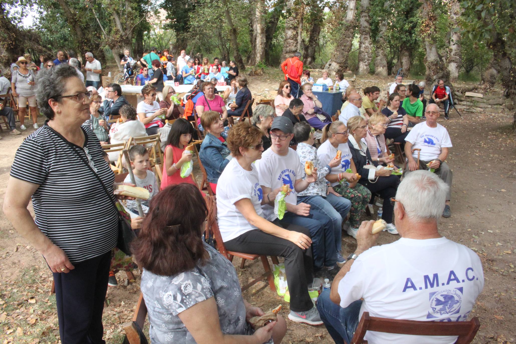 Fotos: Arnedo acoge la XXVII Marcha a Vico