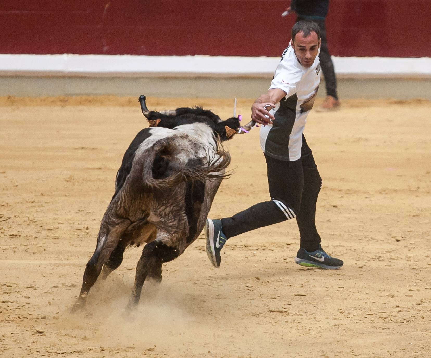 Fotos: Primer día de vaquillas