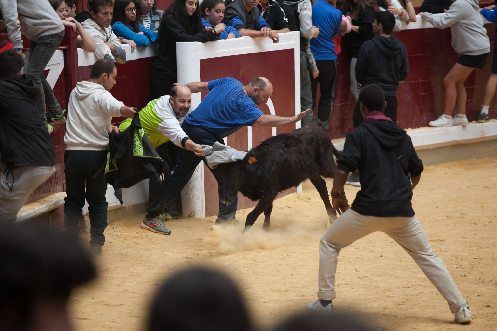 Fotos: Primer día de vaquillas