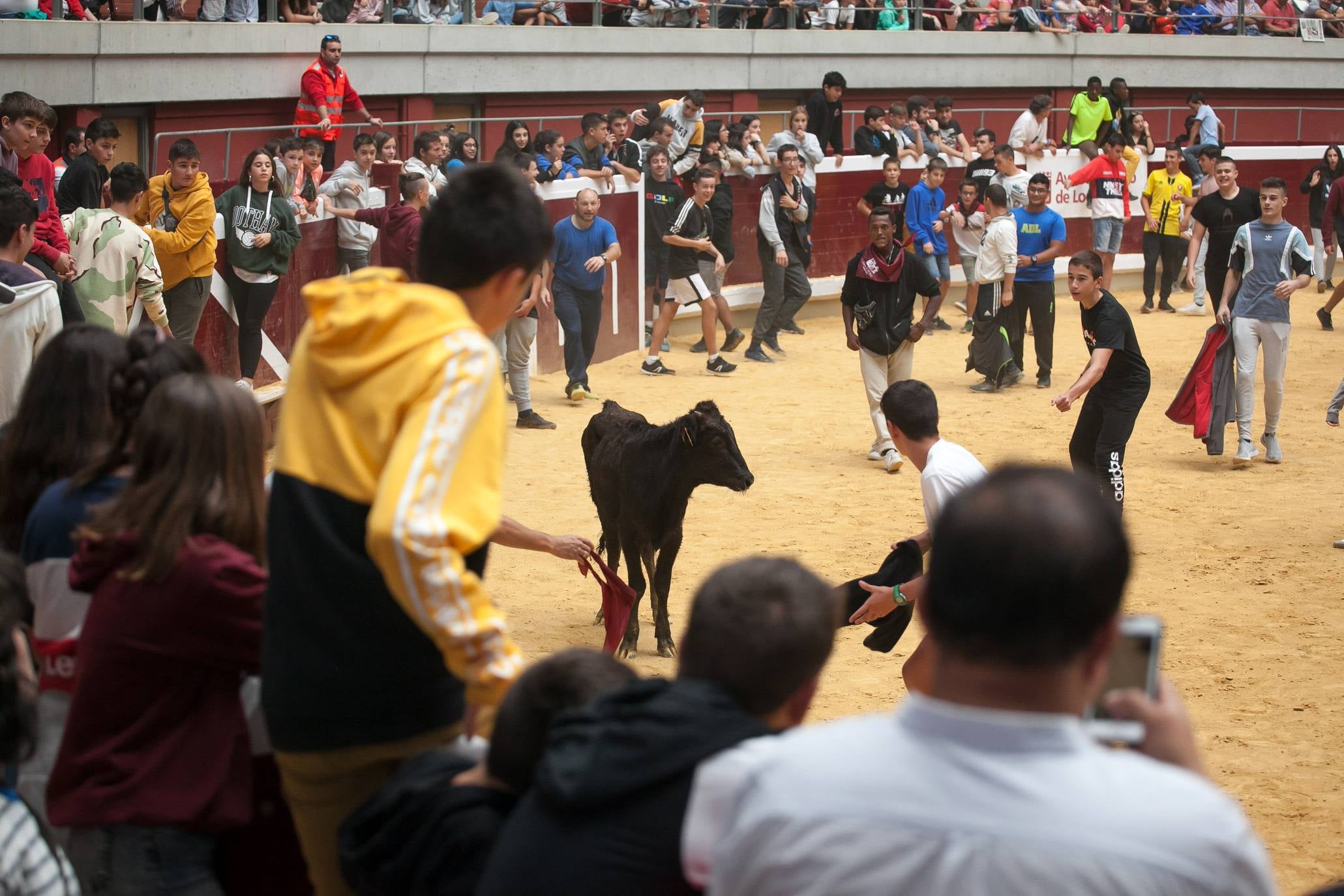 Fotos: Primer día de vaquillas