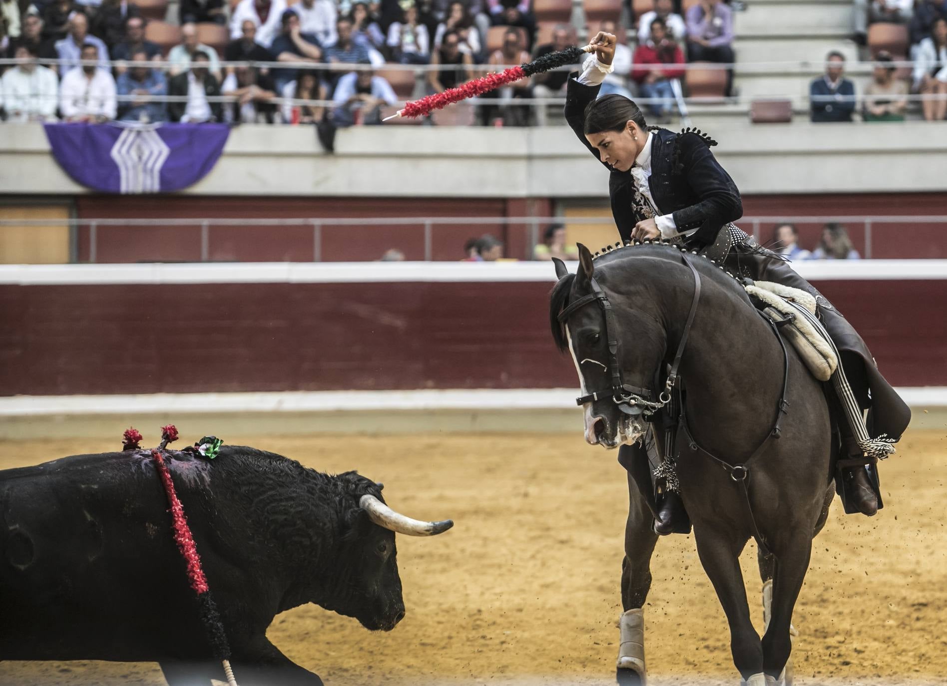 Fotos: Toros en san Mateo: el domingo