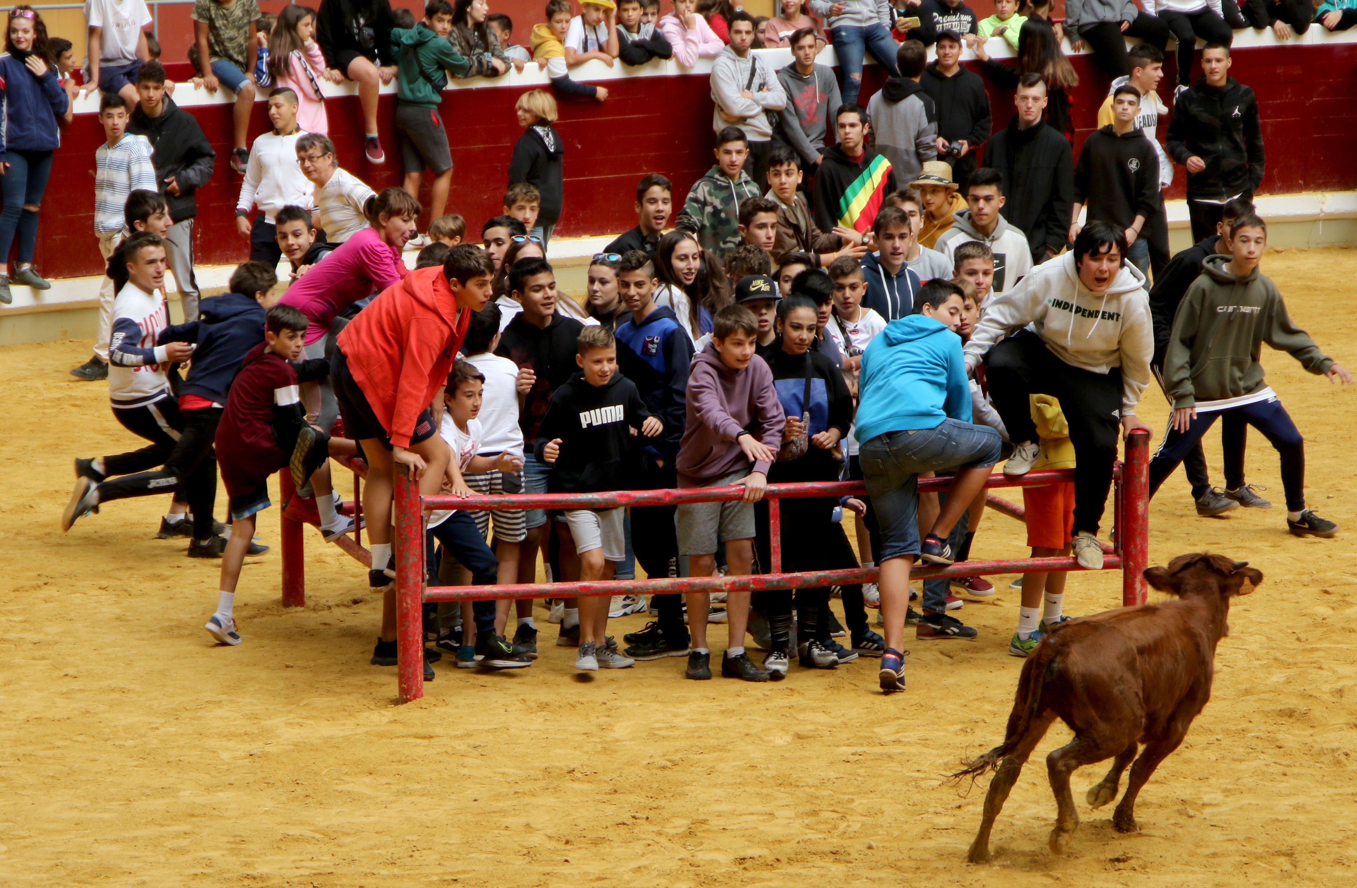 Fotos: Volteretas y un susto en las vaquillas