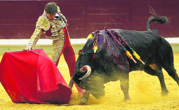 La profunda embestida del quinto de la tarde, Maestro, en la muleta del arlesiano Juan Leal.