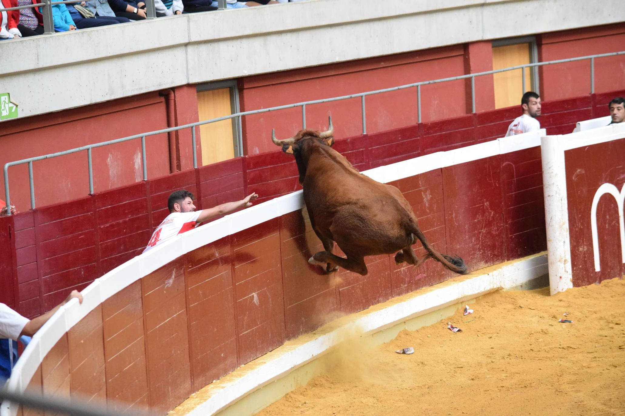 Miércoles de vaquillas en La Ribera