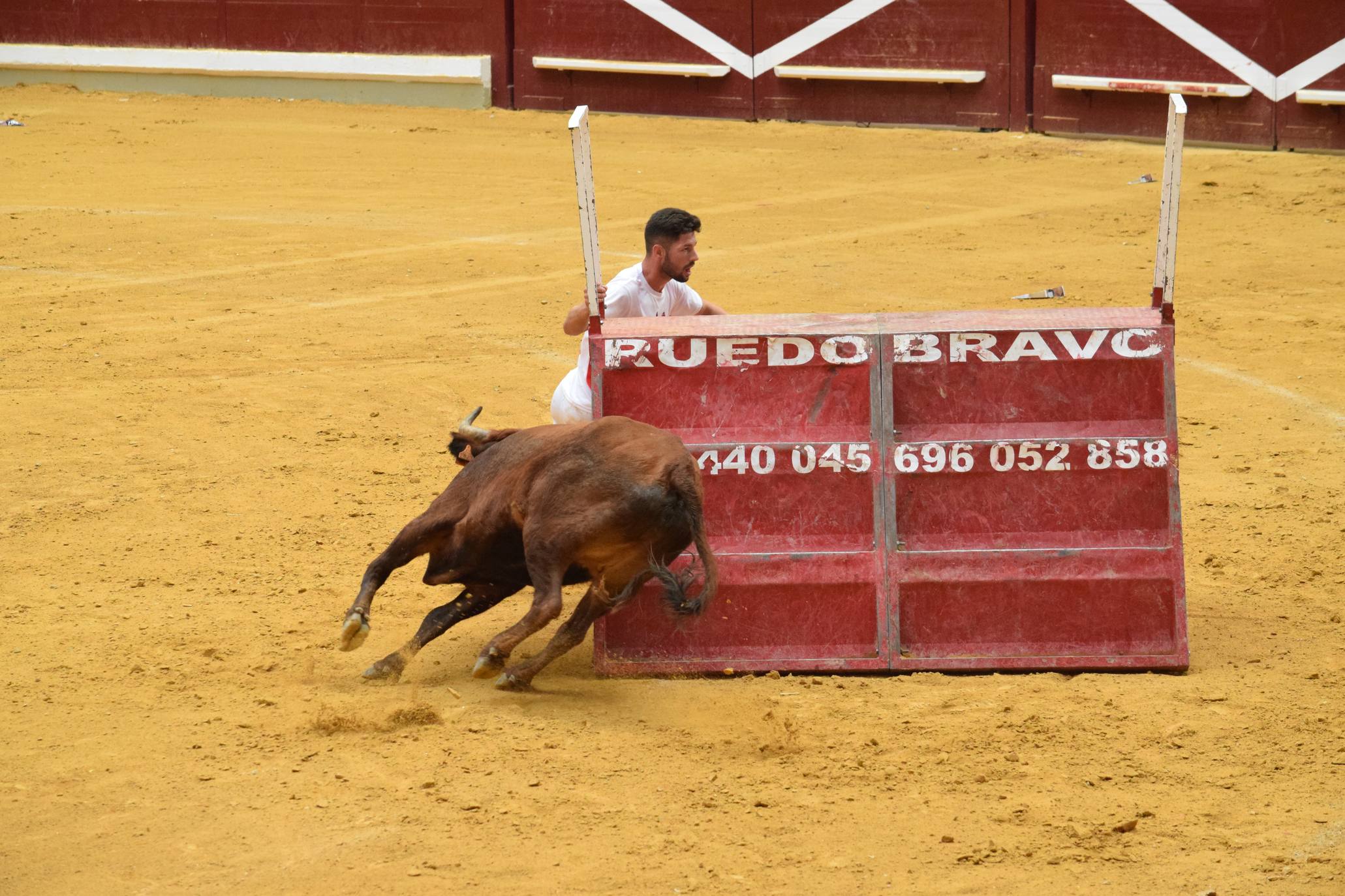 Miércoles de vaquillas en La Ribera