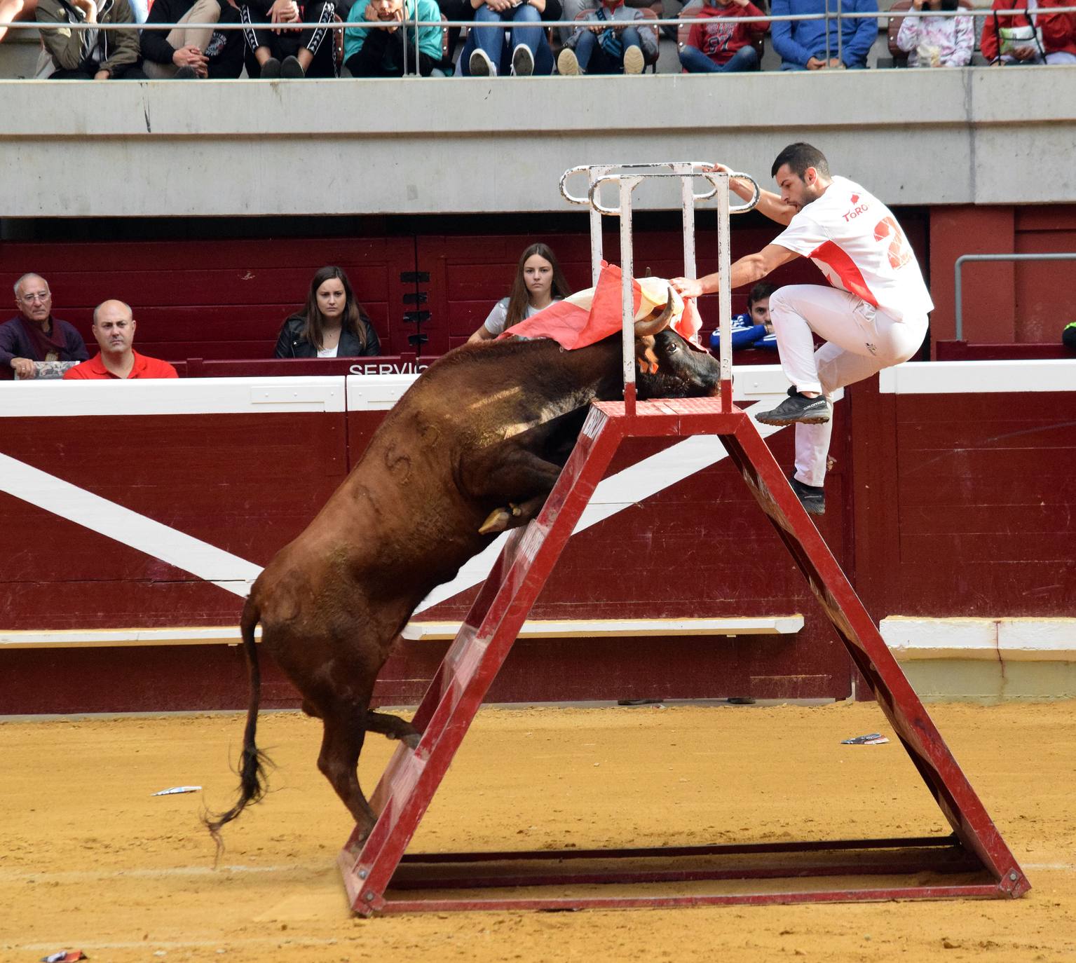 Miércoles de vaquillas en La Ribera