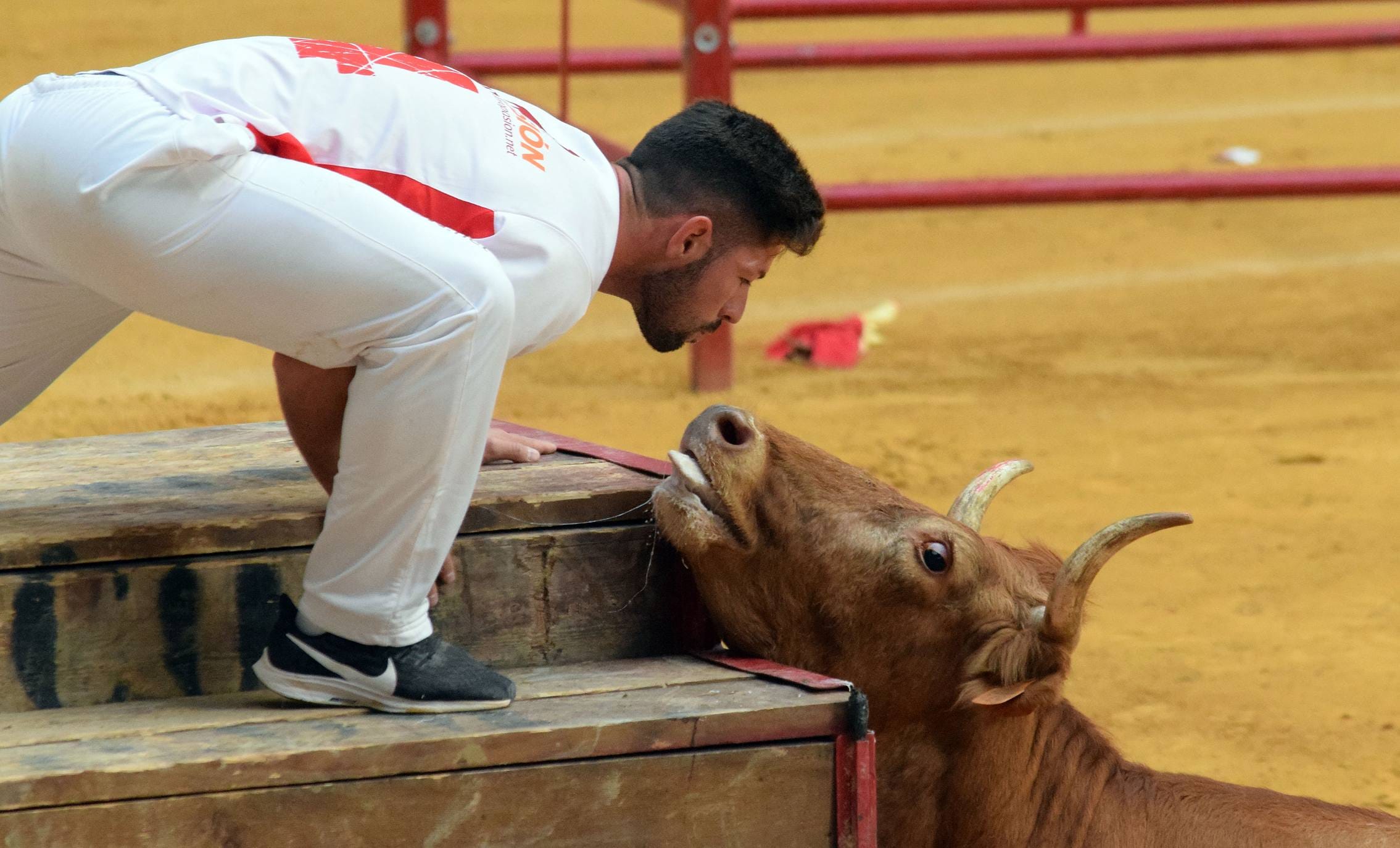 Miércoles de vaquillas en La Ribera