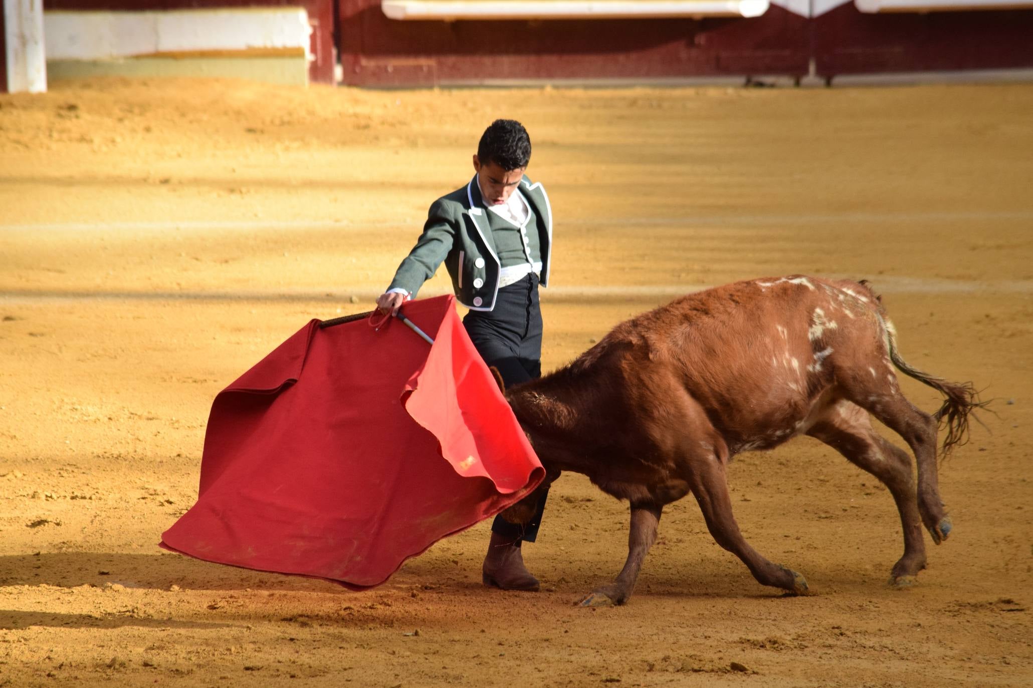 Fotos: Jueves de vaquillas en La Ribera