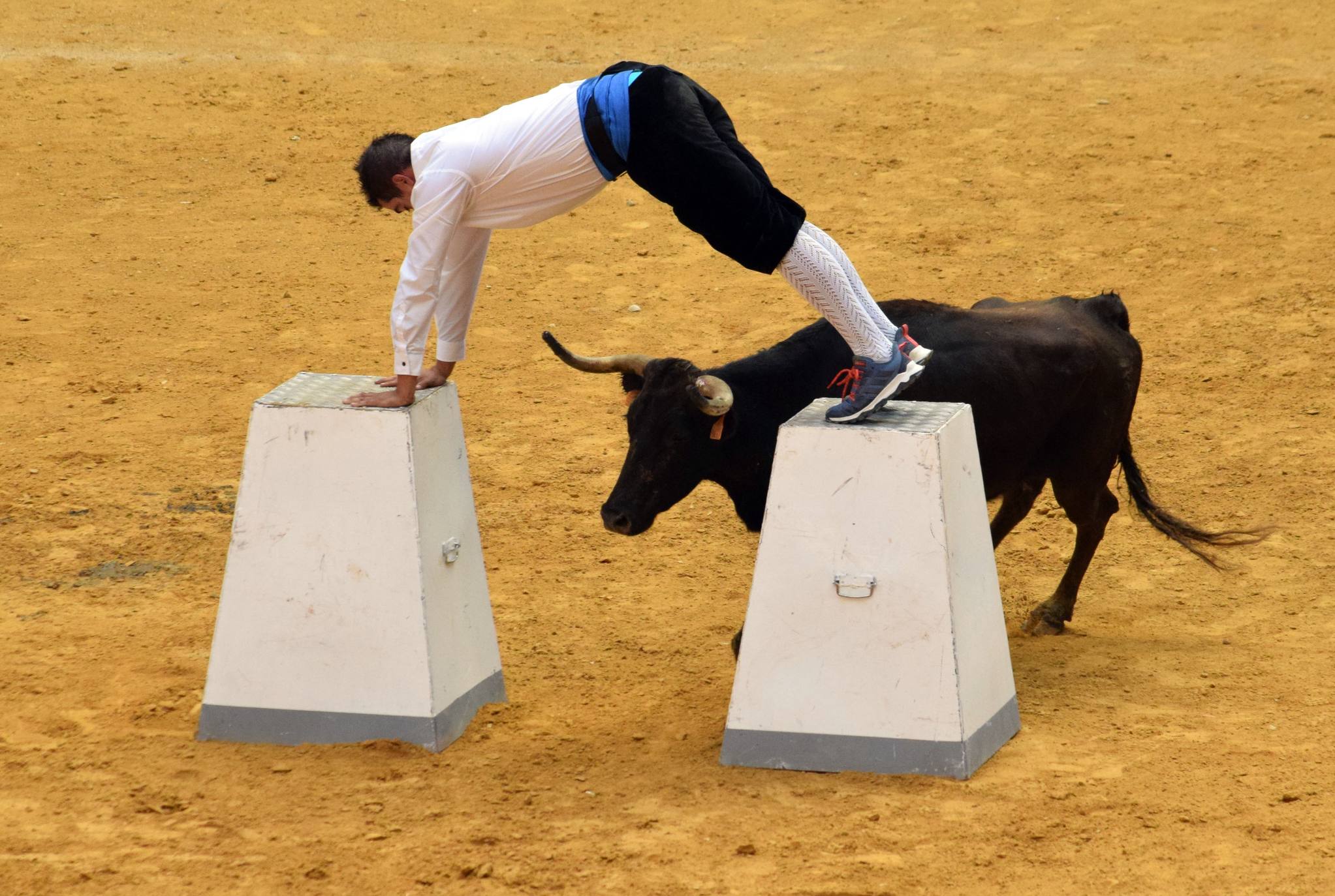 Fotos: Jueves de vaquillas en La Ribera