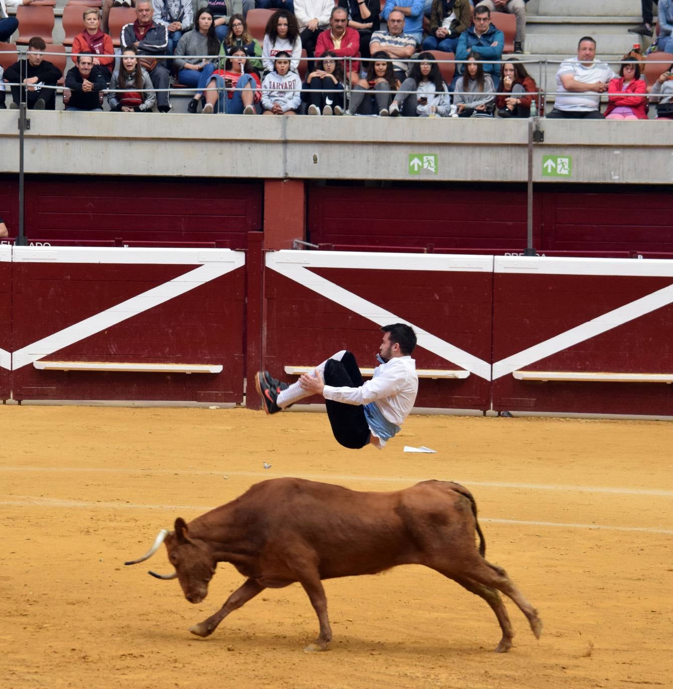 Fotos: Jueves de vaquillas en La Ribera