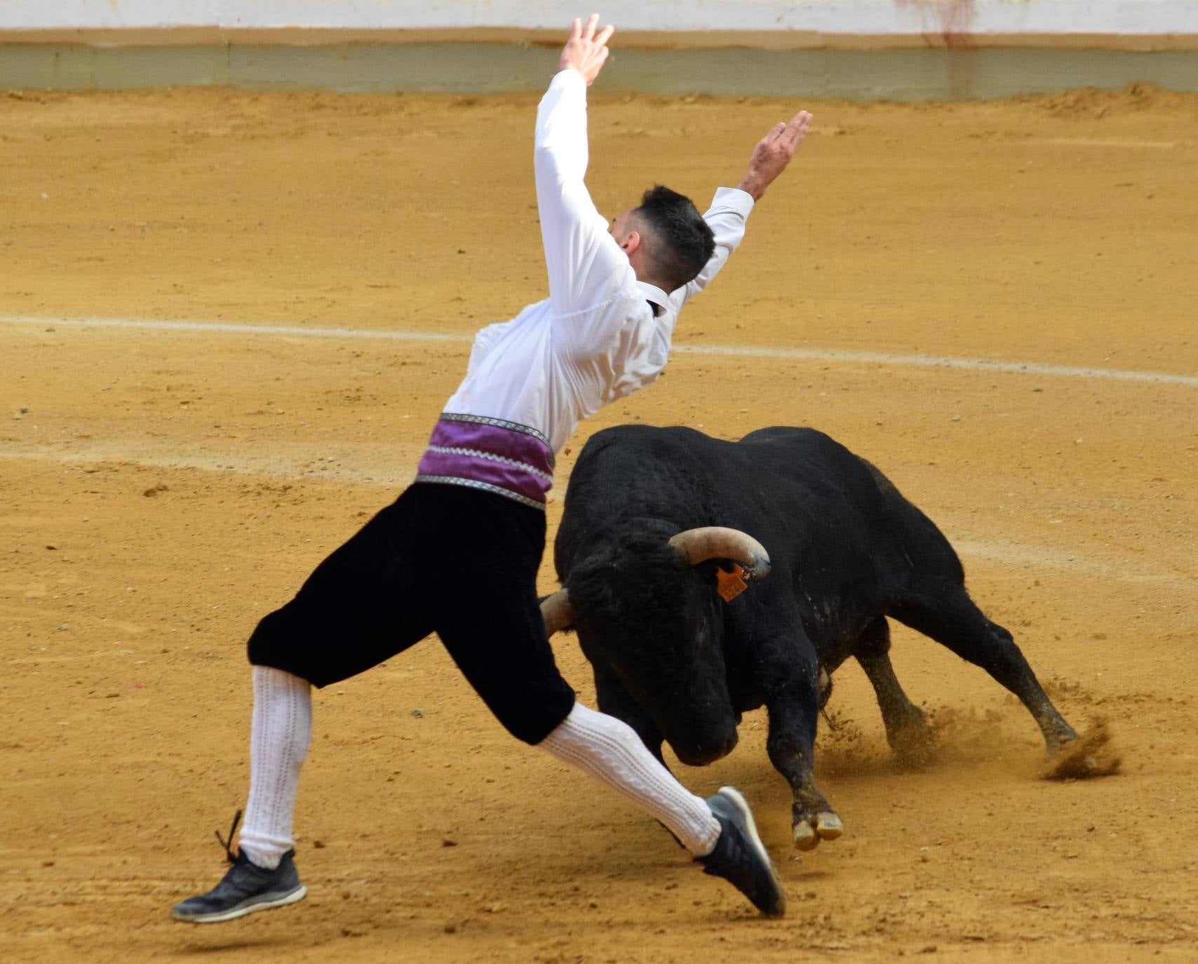 Fotos: Jueves de vaquillas en La Ribera