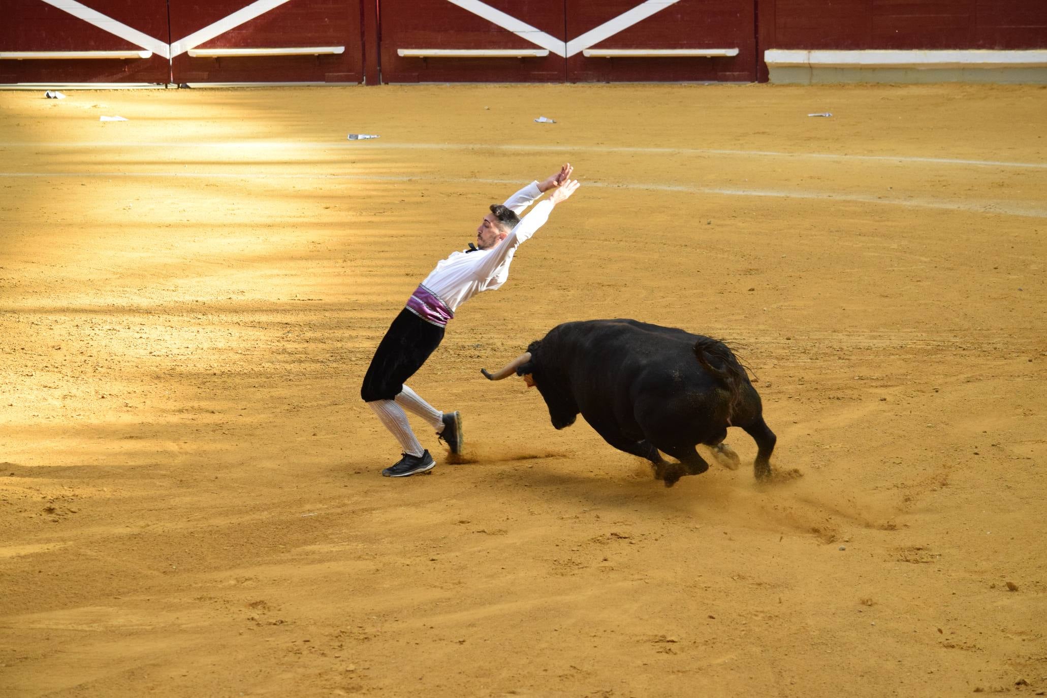 Fotos: Jueves de vaquillas en La Ribera