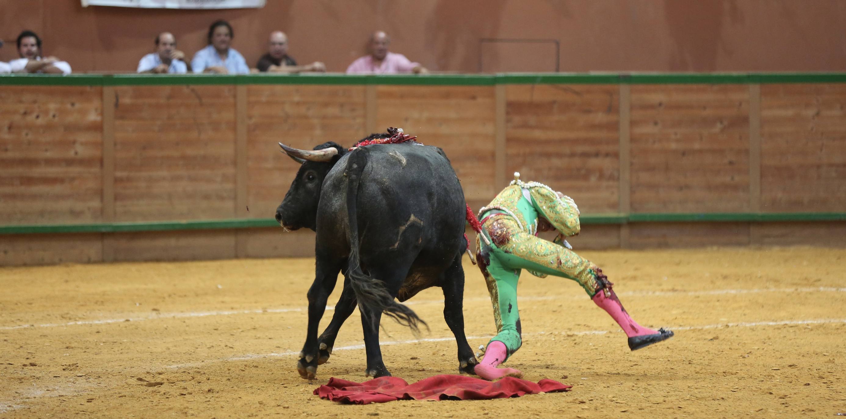 El novillero Daniel Menés ha sufrido una grave cogida. 