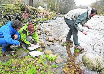 Imagen secundaria 1 - Desde los Hoyos de Iregua y las cascadas de Puente Ra, los ríos definen los paisajes alpinos de Cebollera. 