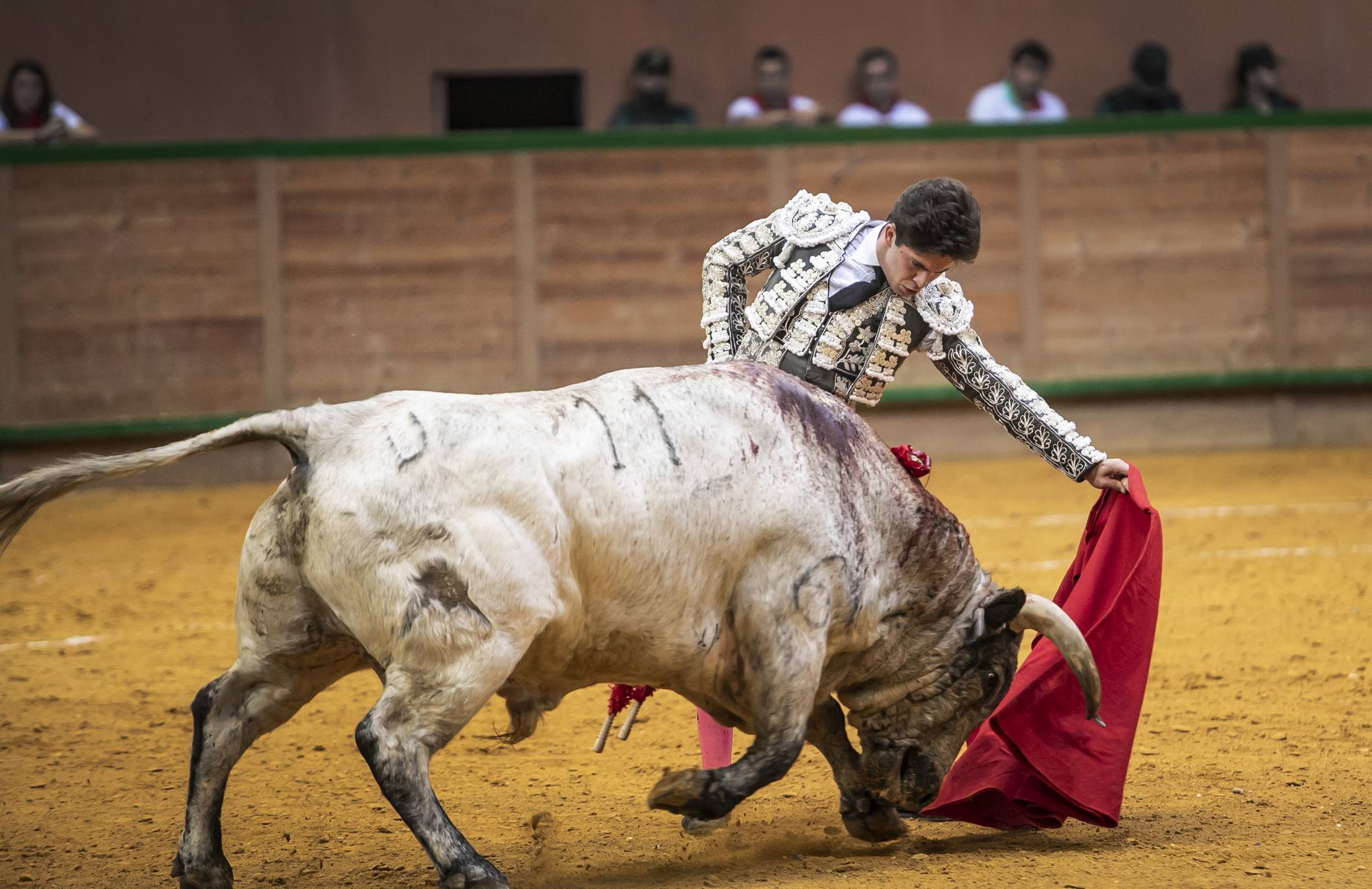 El novillero ha triunfado en la cuarta cita de la Feria del Zapato de Oro. 