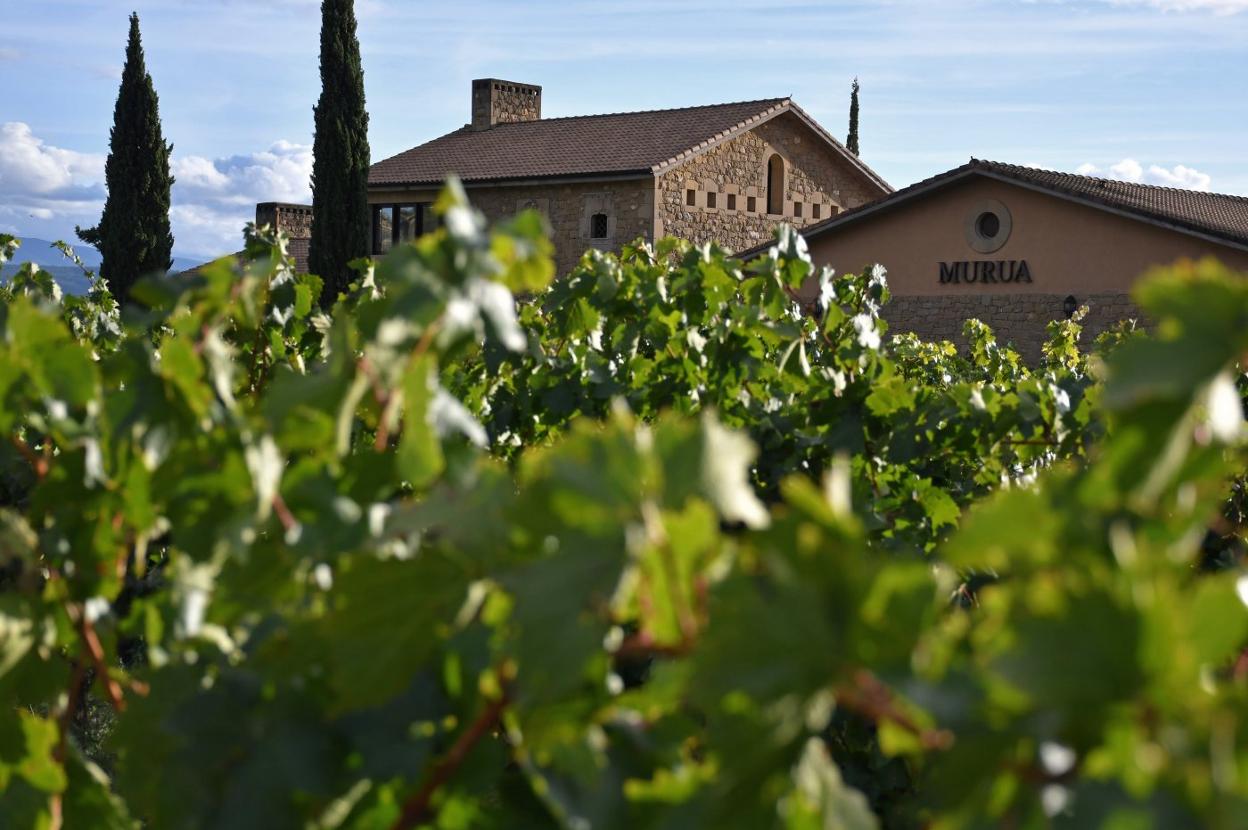 Fachada principal de Bodegas Murua, junto al viñedo que rodea la finca. :: sergio martínez