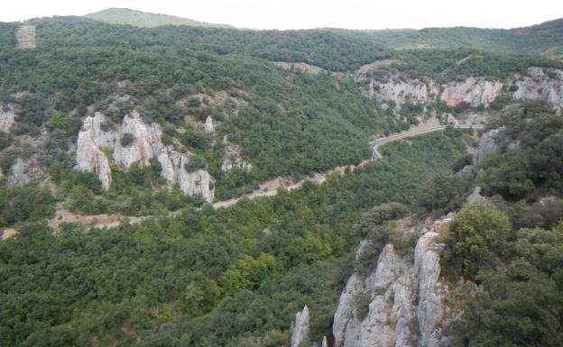 Imagen principal - Mirador de Peñas Malas, robles en la subida al mirador y sendero de bajada a los puentes de Almarza 