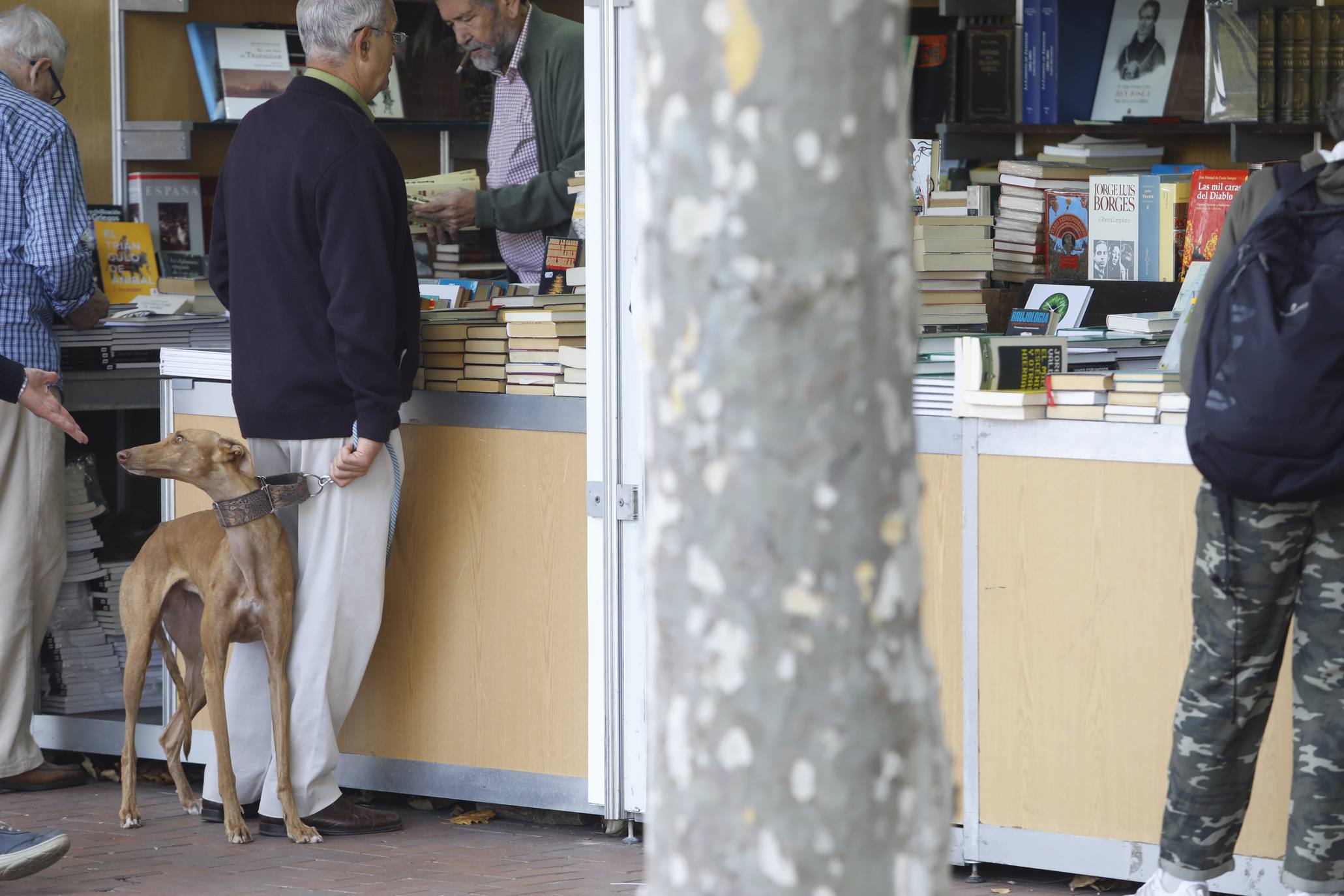 Abierta la 39ª Feria del Libro Antiguo y de Ocasión en Logroño