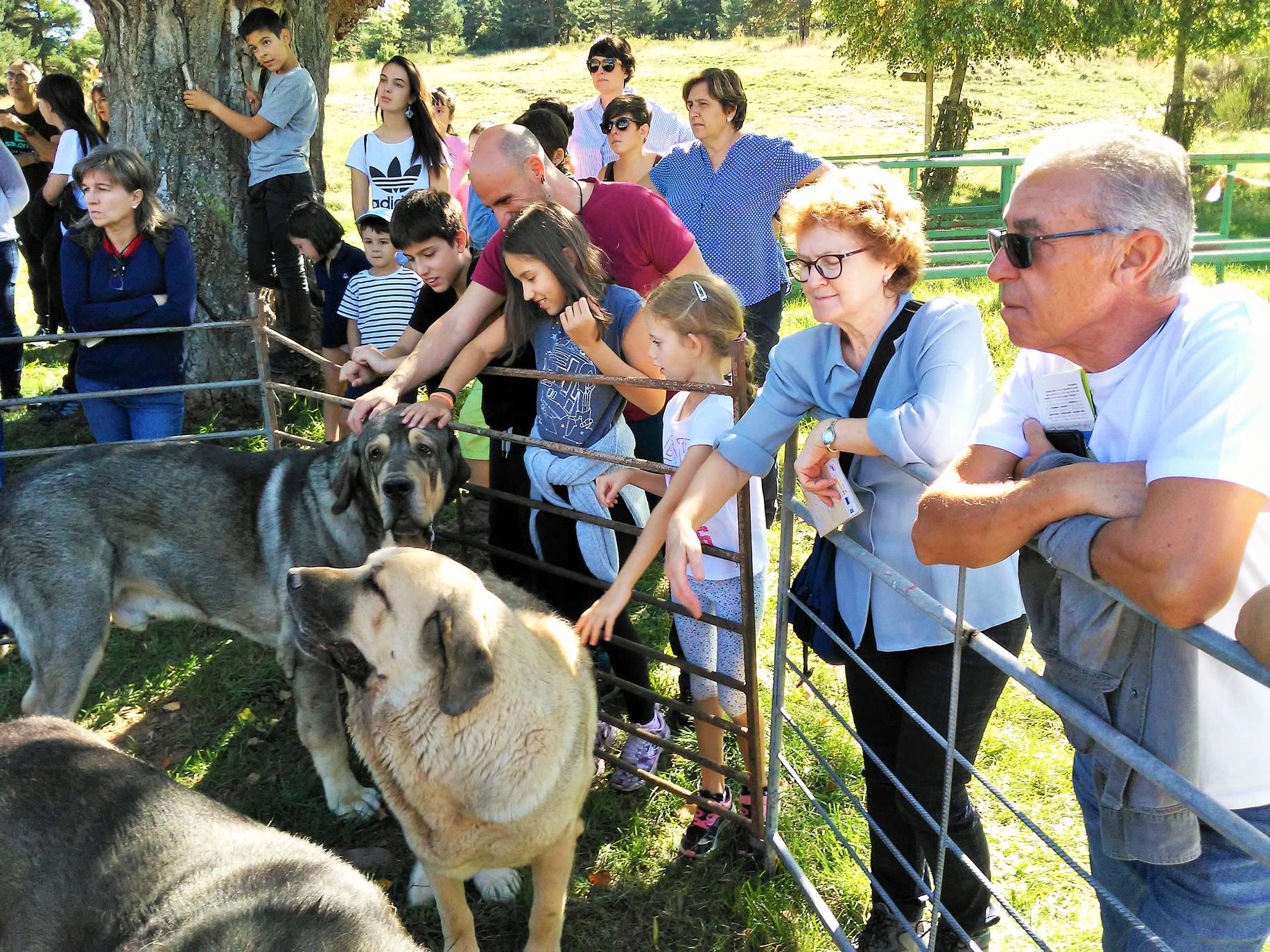 Fiesta de la Trashumancia en Brieva