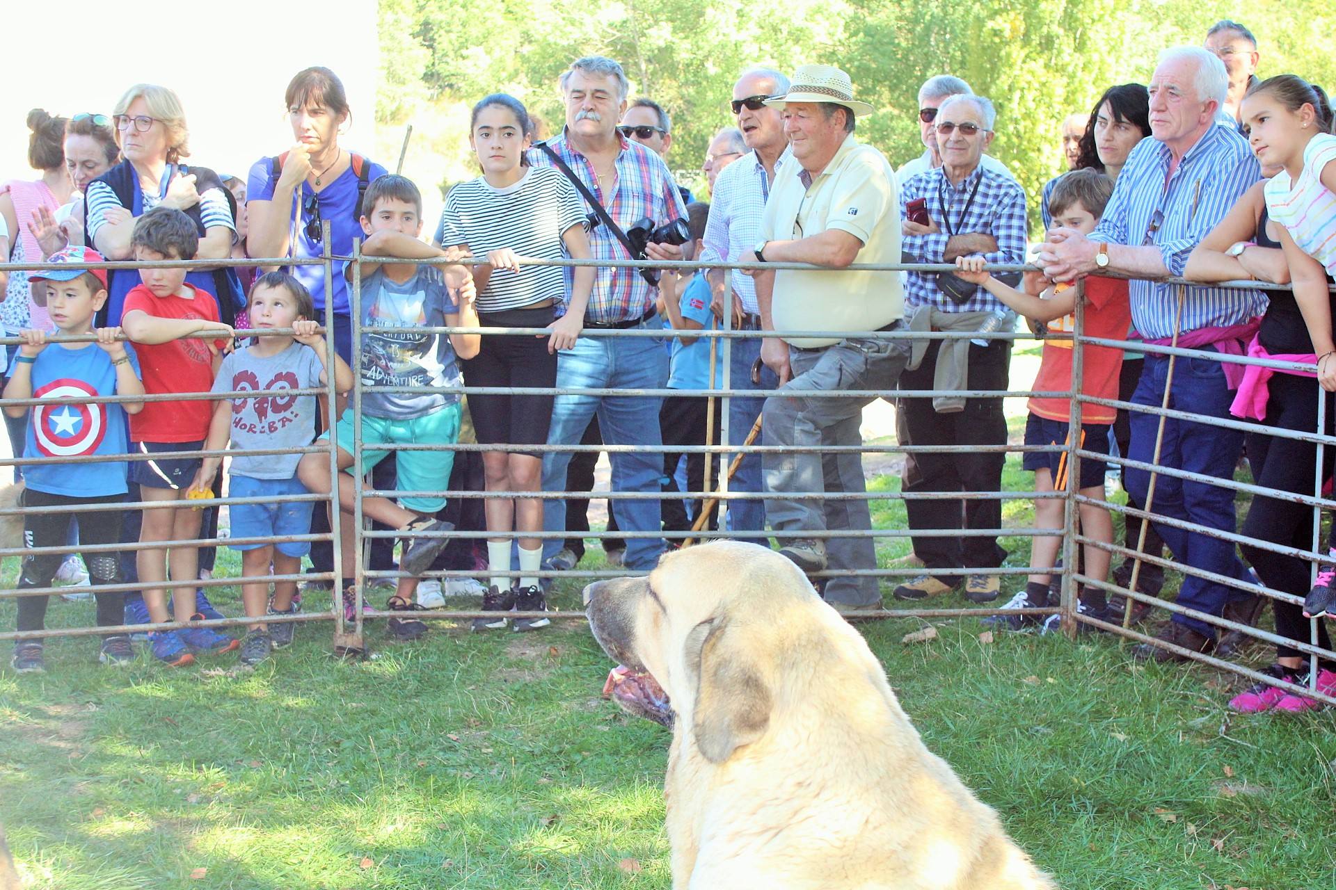 Fiesta de la Trashumancia en Brieva