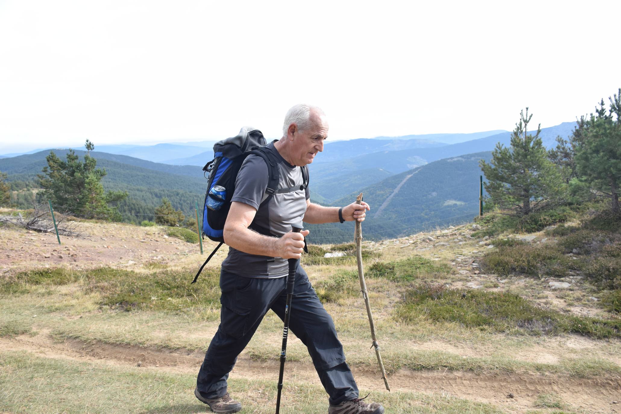 Marcha de Hoyos de Iregua (II)