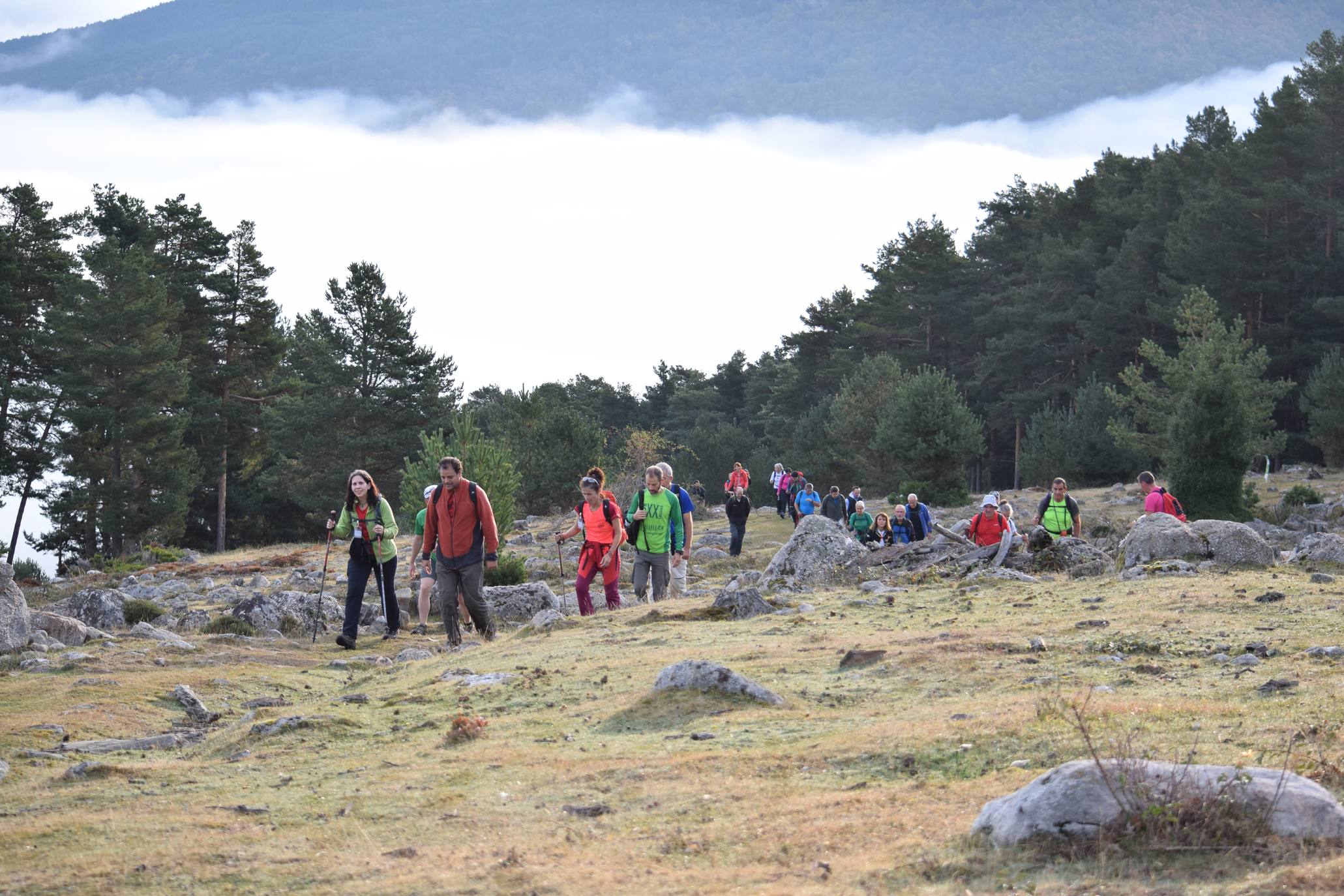 Marcha de Hoyos de Iregua (II)