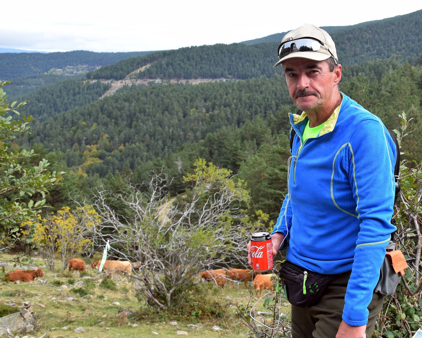 Marcha de Hoyos de Iregua (II)