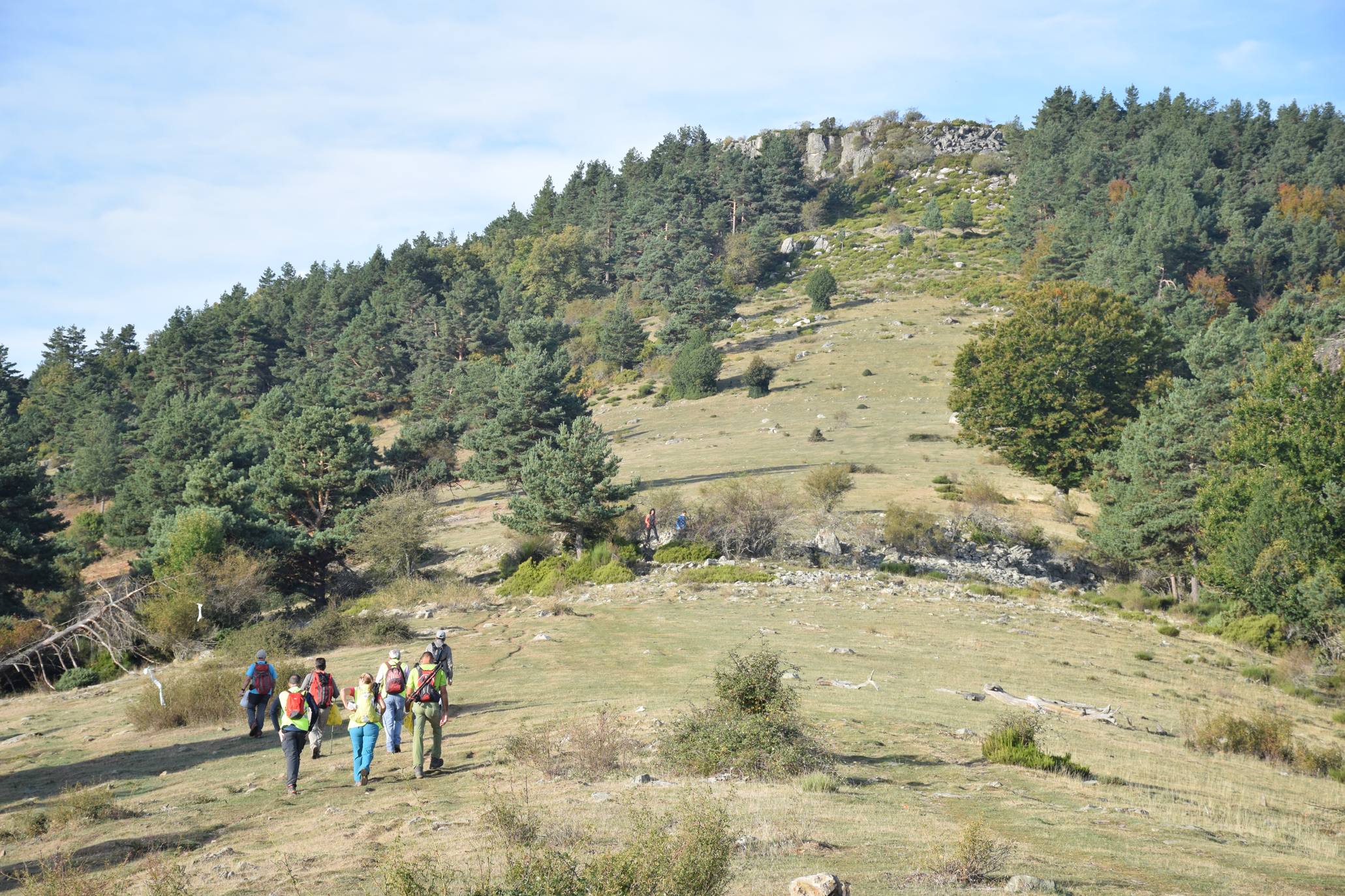 Marcha de Hoyos de Iregua (II)