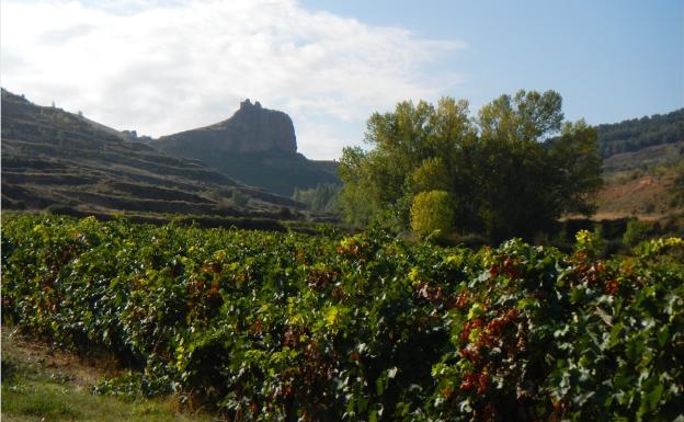 Imagen principal - Subida a Clavijo, vista de la localidad con el Monte Laturce y sendero en Peña Lices 