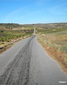 Imagen secundaria 2 - Paisaje entre Logroño y Fuenmayor, Palacio de la Real Junta de Cosecheros y camino asfaltado