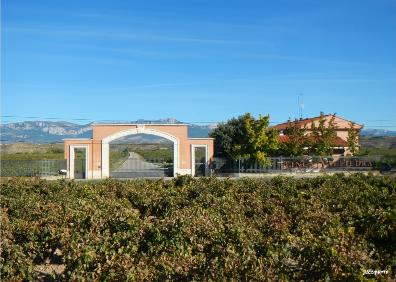 Imagen secundaria 1 - Bodegas Riojanas, en Cenicero, finca de Valpiedra, también en Cenicero, y mirador junto a Viña Salceda