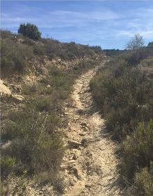 Imagen secundaria 2 - Mirador en Lapuebla de Labarca y sendero en la salida del Cortijo