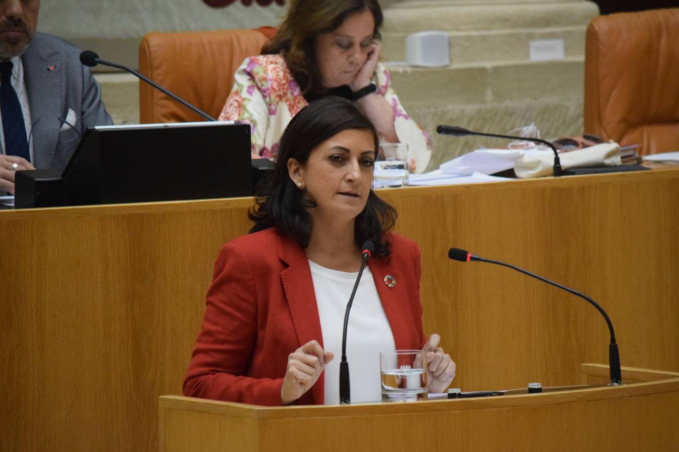 Sesión plenaria en el Parlamento de La Rioja. 