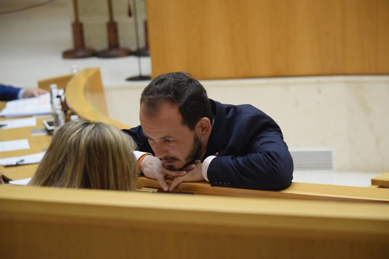 Sesión plenaria en el Parlamento de La Rioja. 