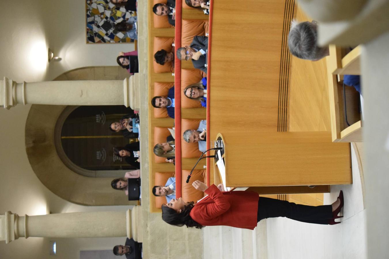 Sesión plenaria en el Parlamento de La Rioja. 